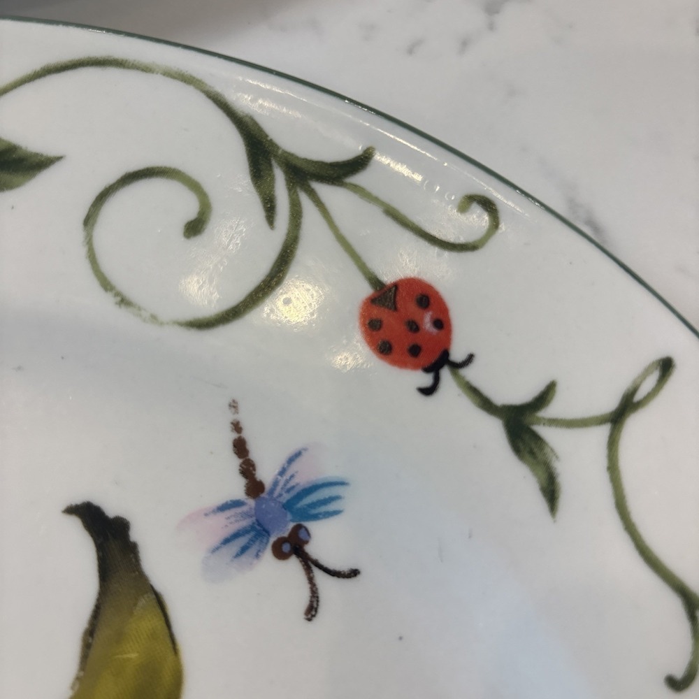 Lot of 2 Botanical Garden by Tabletops Unlimited Dinner Plates 10.5" - 2 Iris - Picture 6 of 8